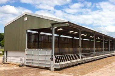 Steel Structure Sheepfold Construction